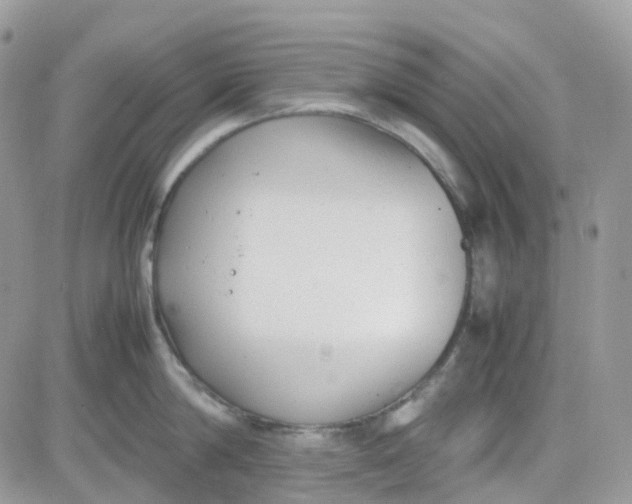 X0000081570814200701291213