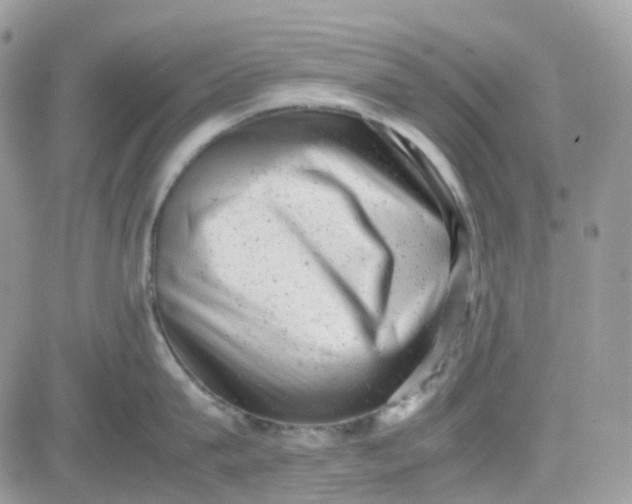 X0000081570815200701291213