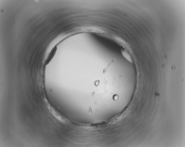 X0000081570816200701291213