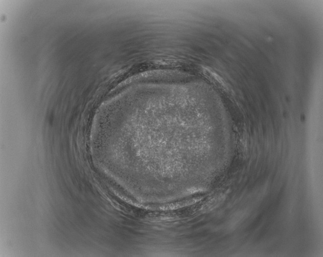 X0000081570817200701291212