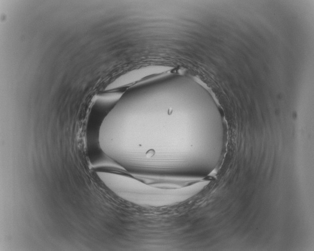 X0000081570818200701291212