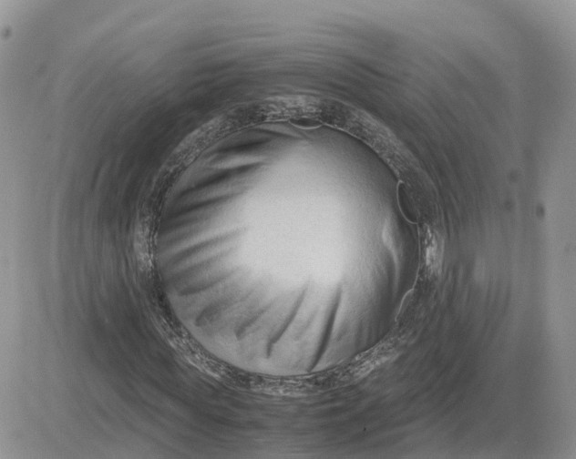 X0000081570819200701291212