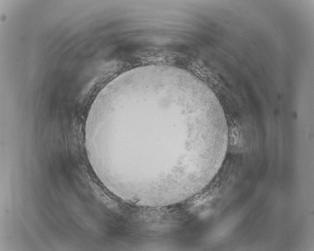 X0000081570820200701291212