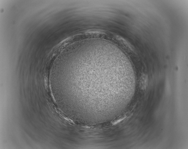 X0000081570821200701291212