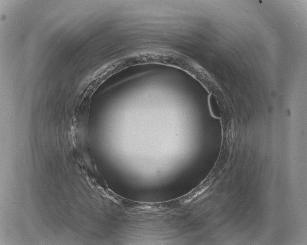 X0000081570822200701291212