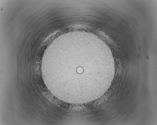 X0000081570824200701291212