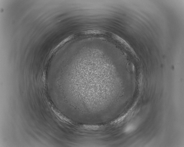 X0000081570825200701291212