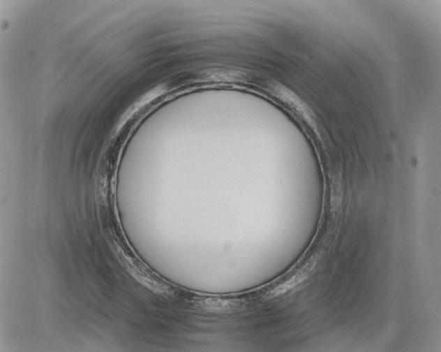 X0000081570827200701291213