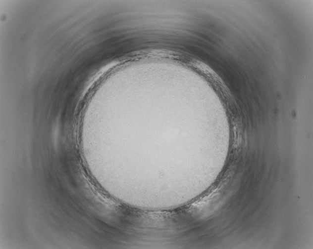 X0000081570828200701291213