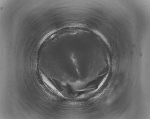 X0000081570829200701291213