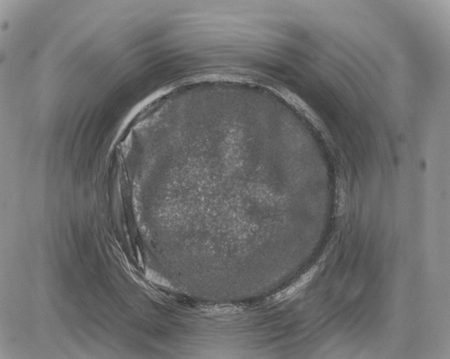 X0000081570830200701291213