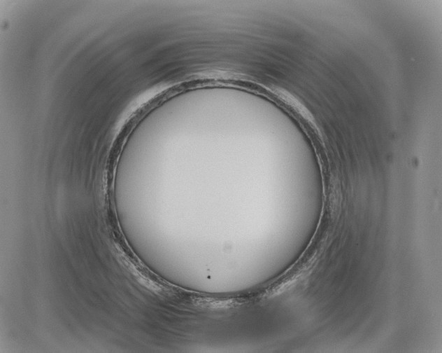 X0000081570831200701291213