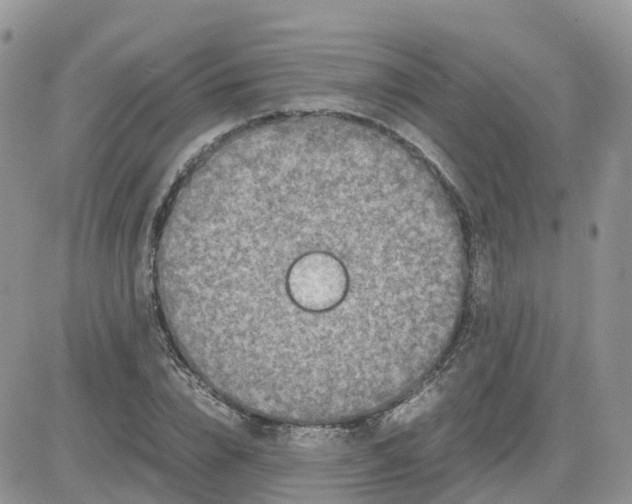 X0000081570832200701291213