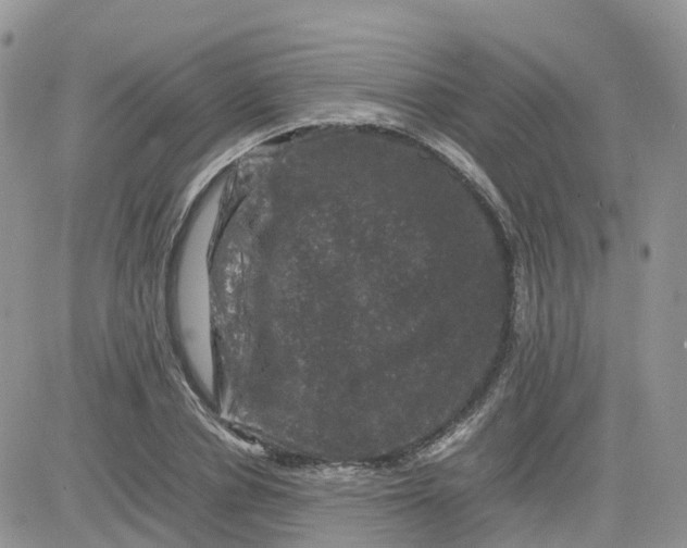 X0000081570834200701291213