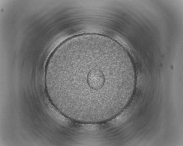 X0000081570836200701291213