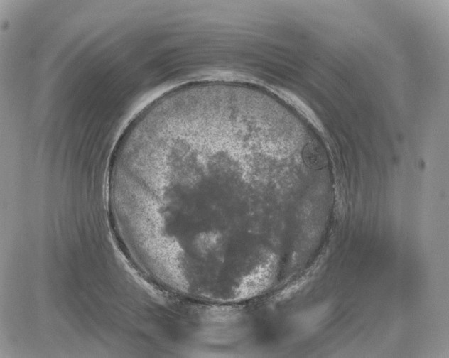 X0000081570839200701291213