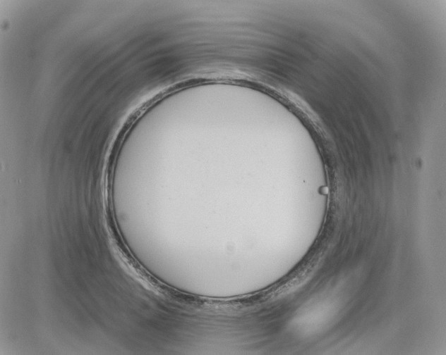 X0000081570840200701291213