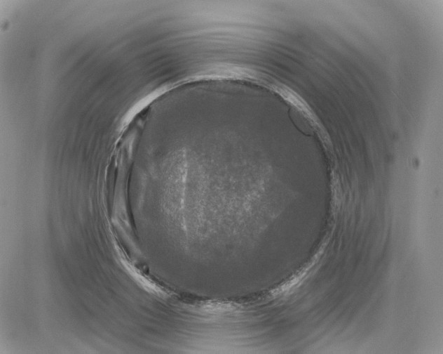 X0000081570842200701291213