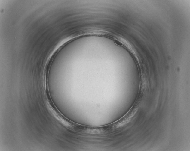 X0000081570843200701291213