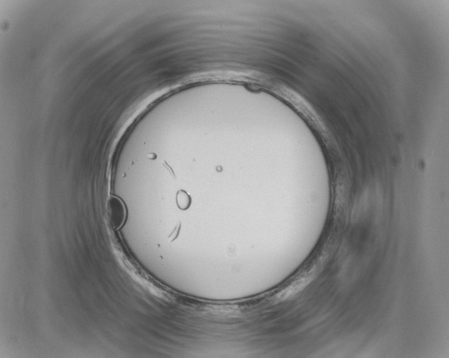 X0000081570844200701291213