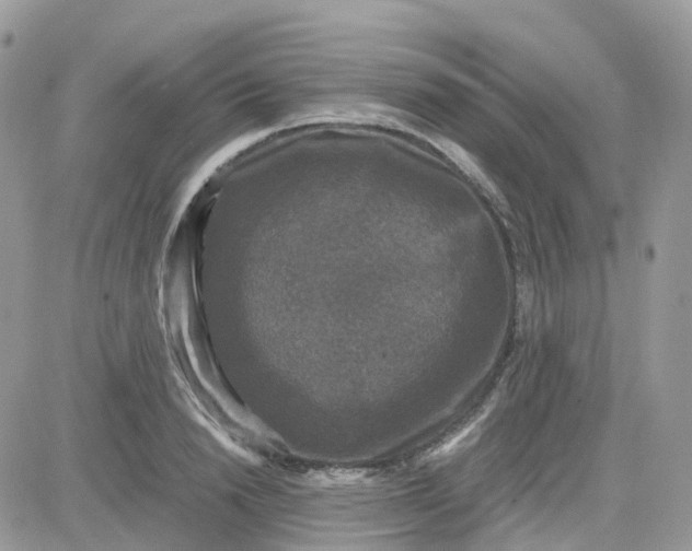 X0000081570846200701291213