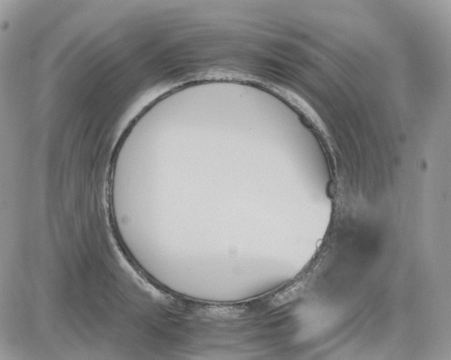 X0000081570847200701291213