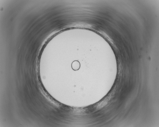 X0000081570848200701291213