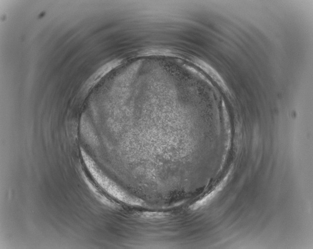 X0000081570849200701291213