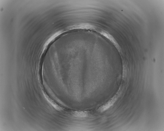 X0000081570850200701291213