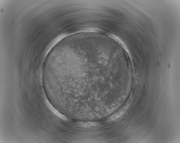 X0000081570851200701291213