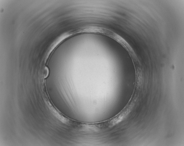 X0000081570852200701291213