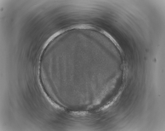 X0000081570853200701291213