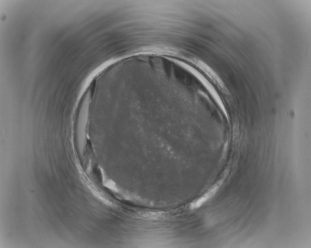 X0000081570854200701291213