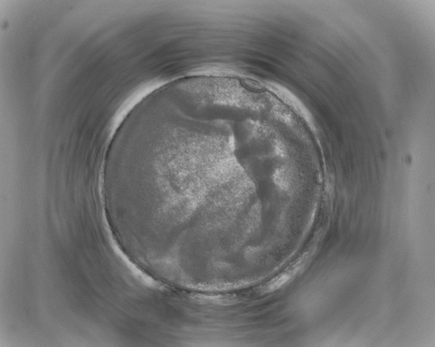 X0000081570855200701291213