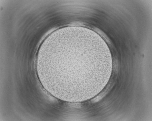 X0000081570856200701291213