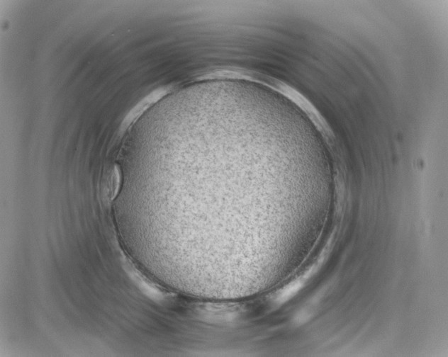 X0000081570857200701291213