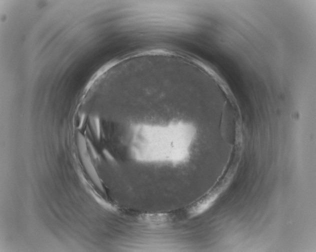 X0000081570858200701291213