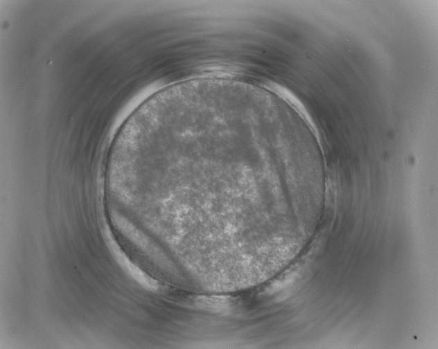 X0000081570859200701291213