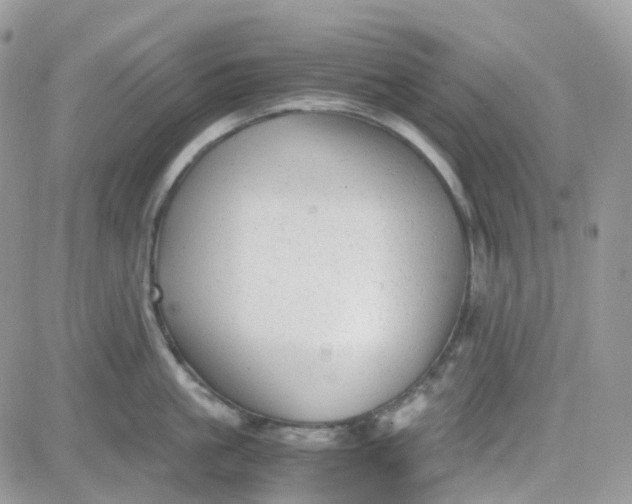 X0000081570861200701291213