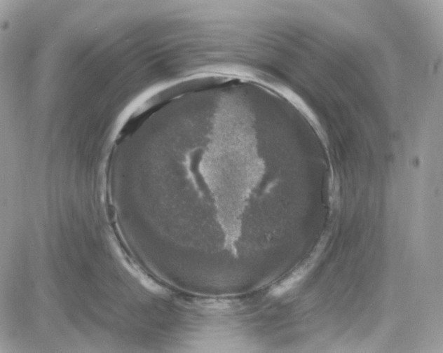 X0000081570862200701291213