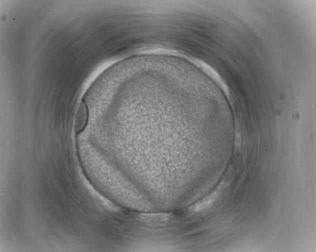 X0000081570863200701291213