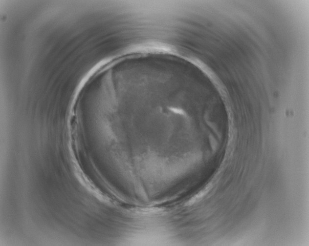 X0000081570864200701291213