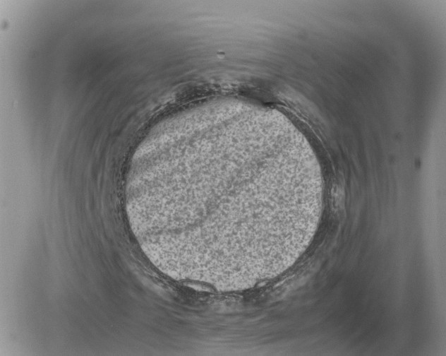 X0000081570865200701291212