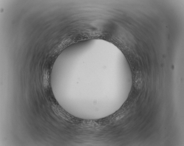 X0000081570866200701291212