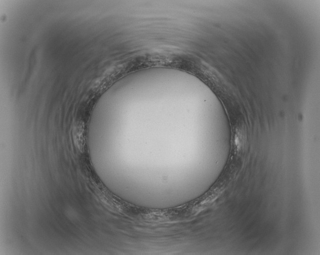 X0000081570867200701291212