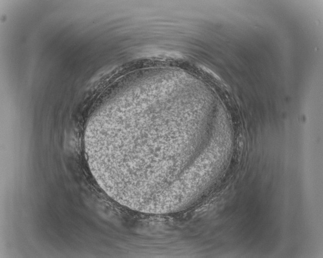 X0000081570869200701291212