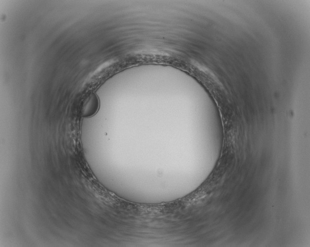 X0000081570870200701291212