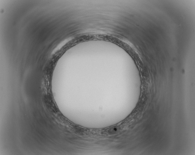 X0000081570871200701291212