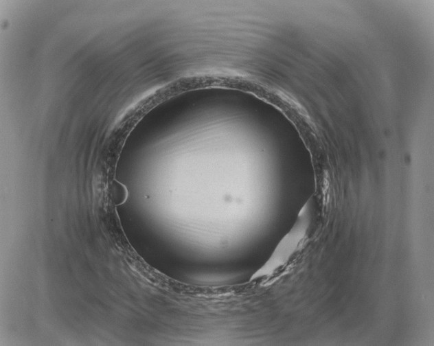 X0000081570872200701291212