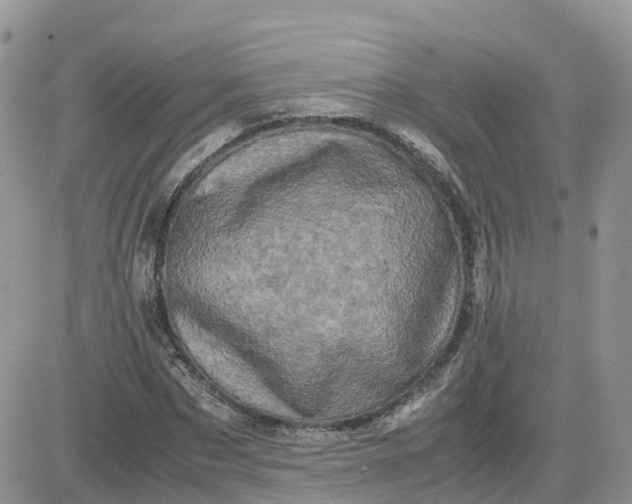 X0000081570873200701291212